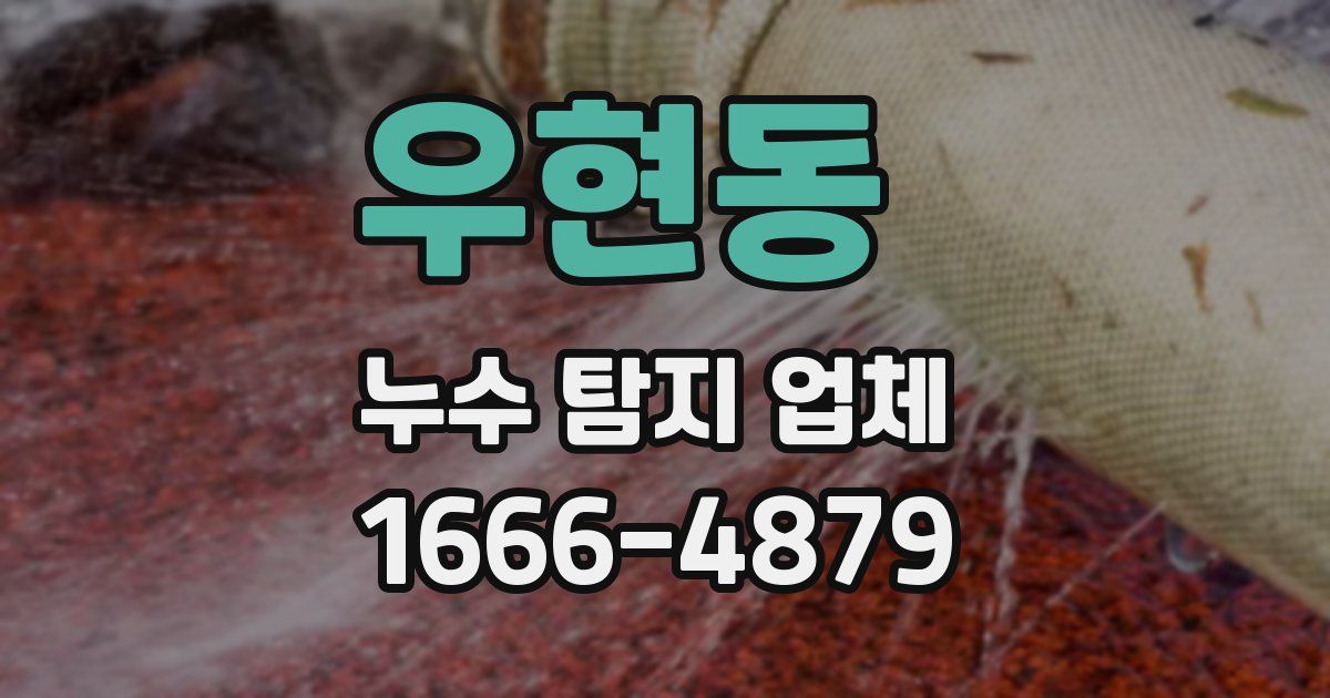 우현동 누수 탐지 업체