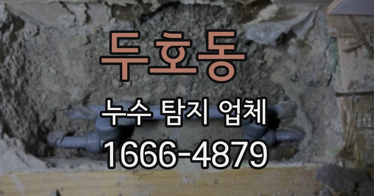 두호동 누수 탐지 업체