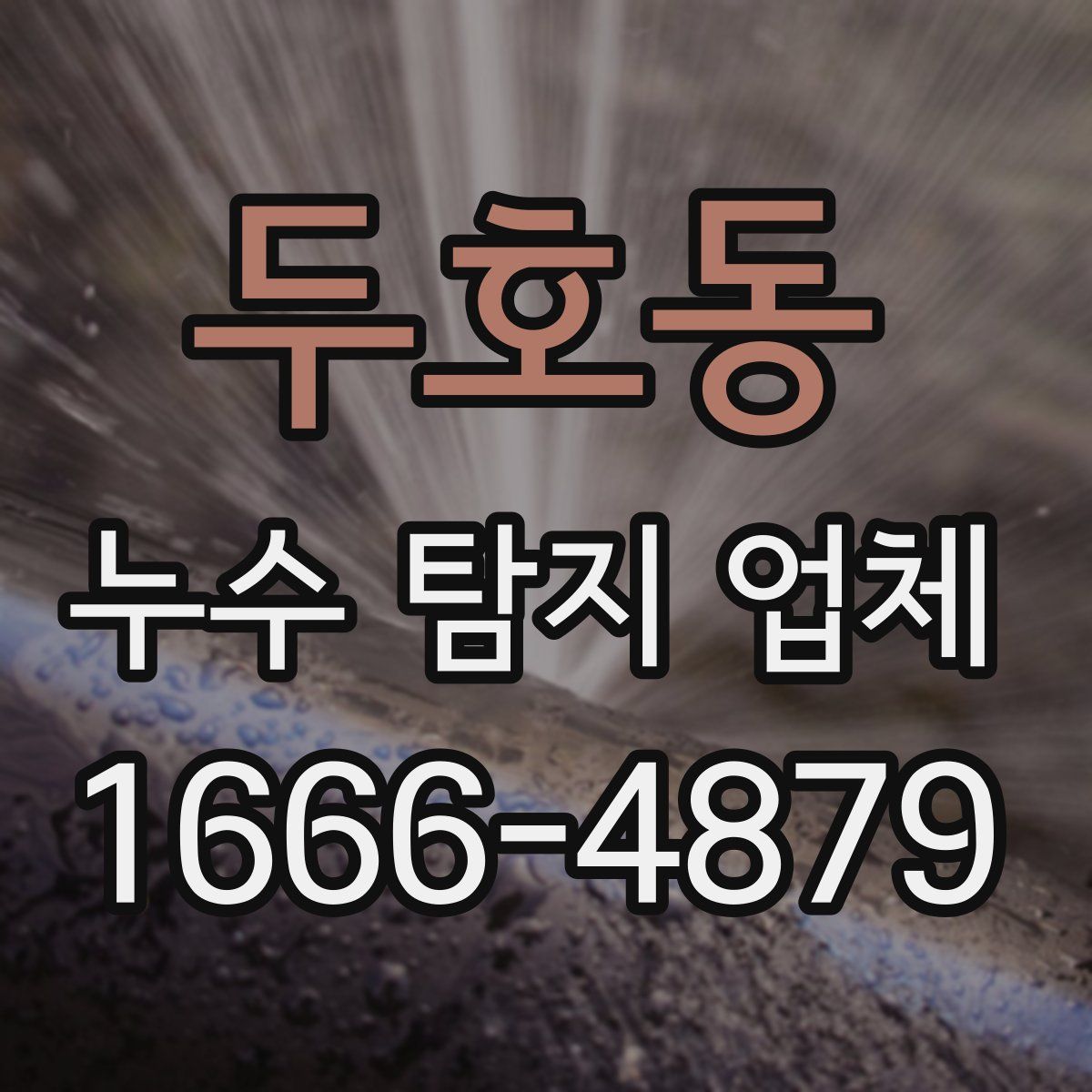 두호동 누수 탐지 업체