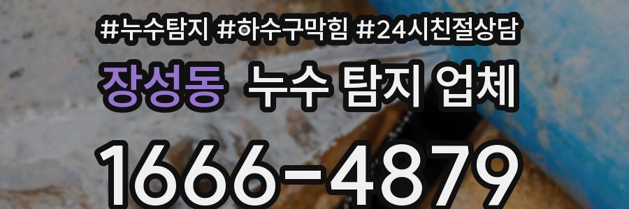 장성동 누수 탐지 업체
