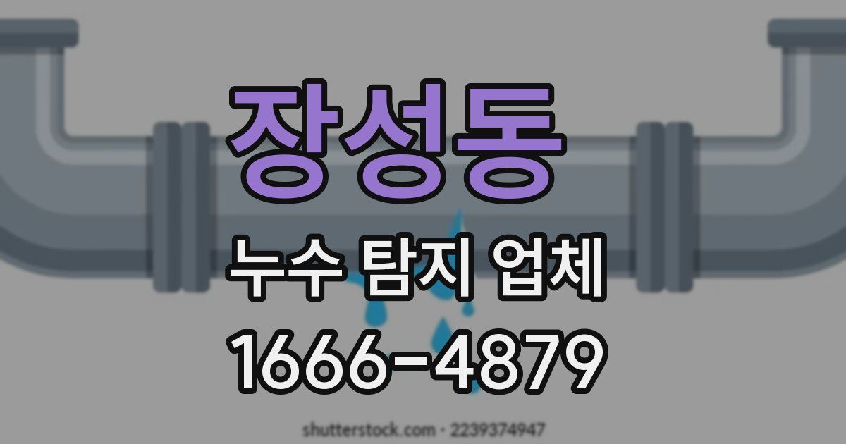 장성동 누수 탐지 업체