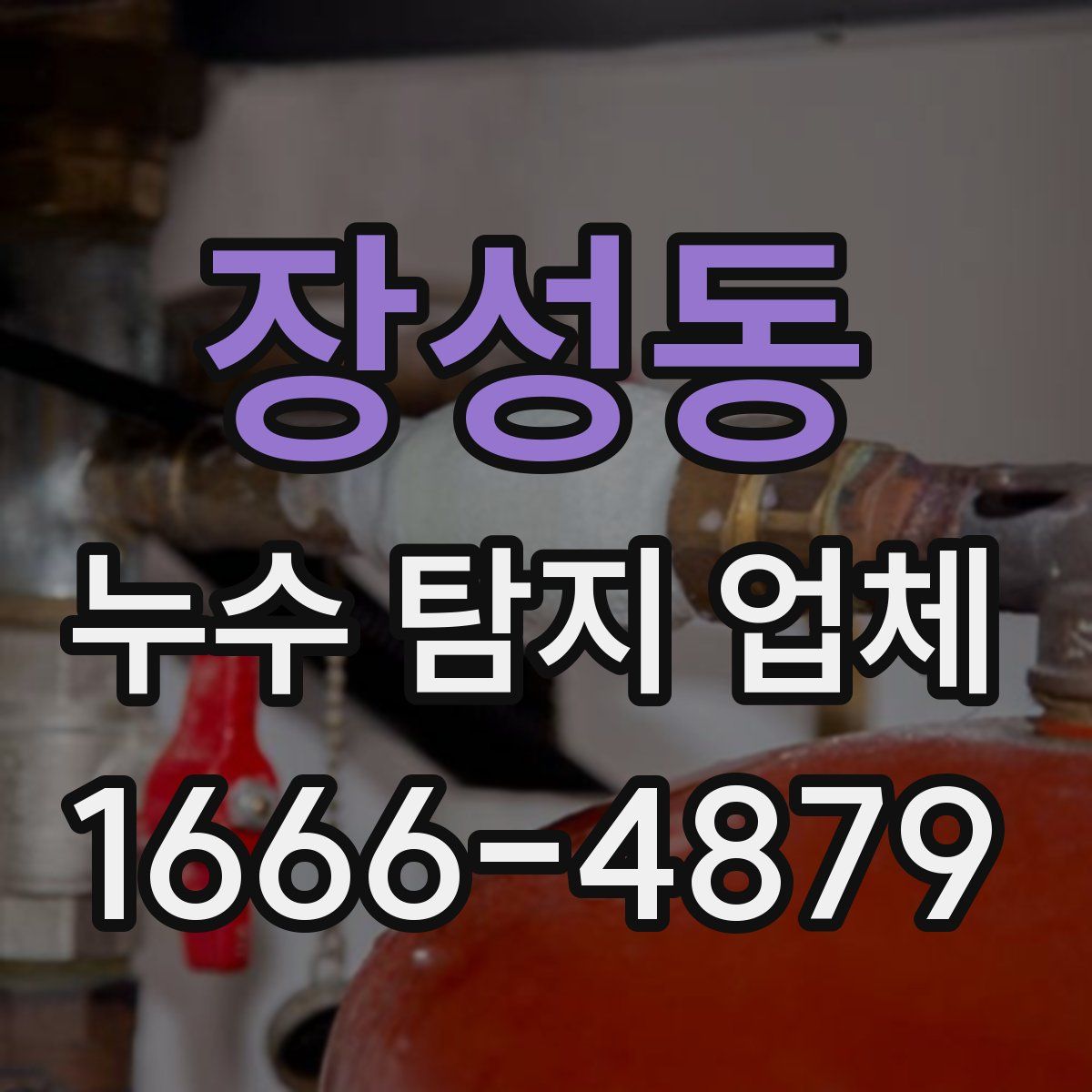 장성동 누수 탐지 업체
