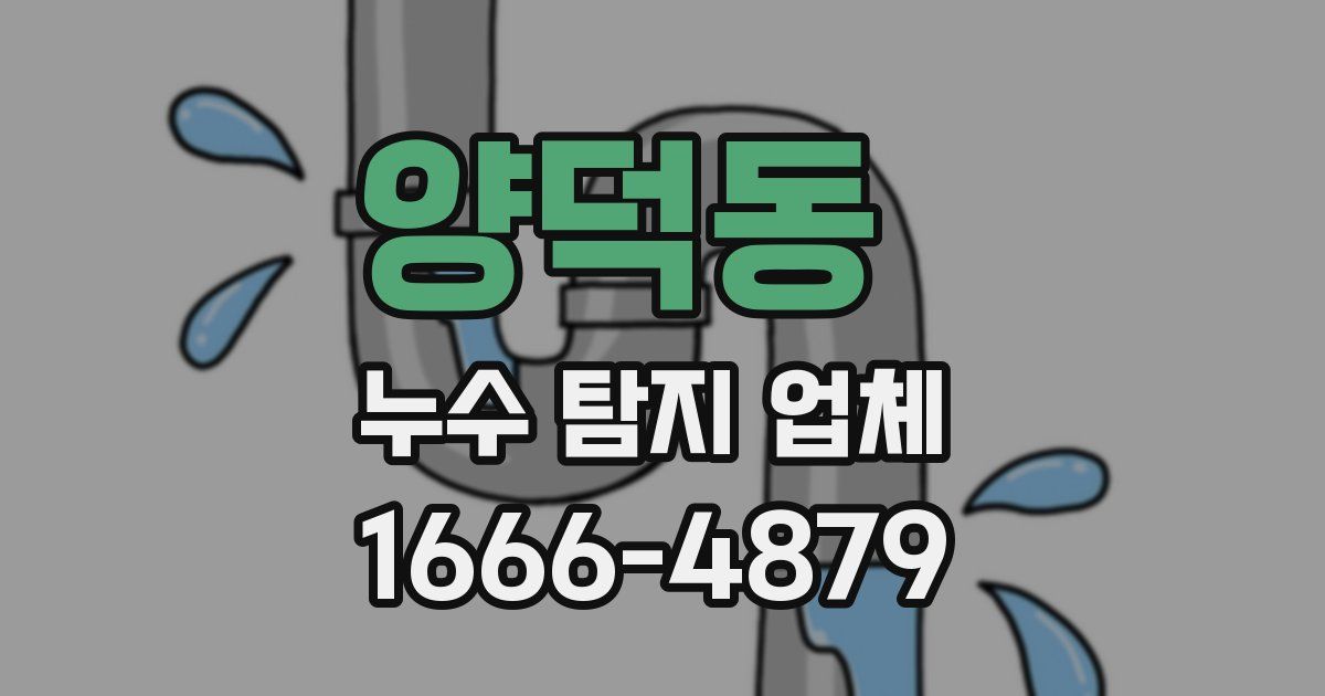 양덕동 누수 탐지 업체