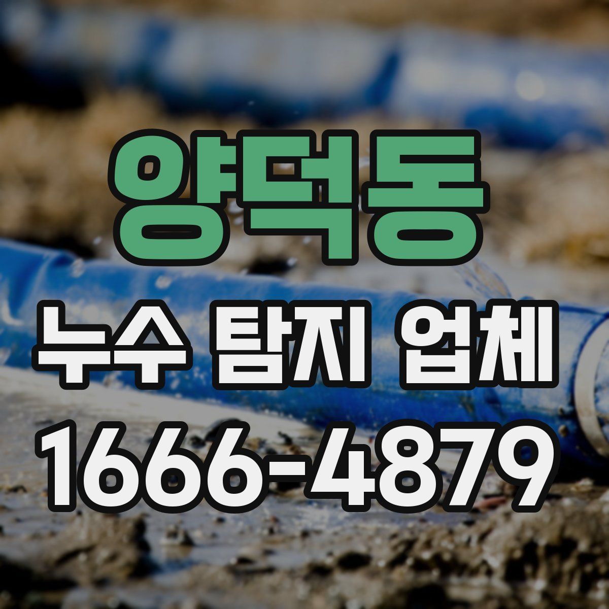 양덕동 누수 탐지 업체