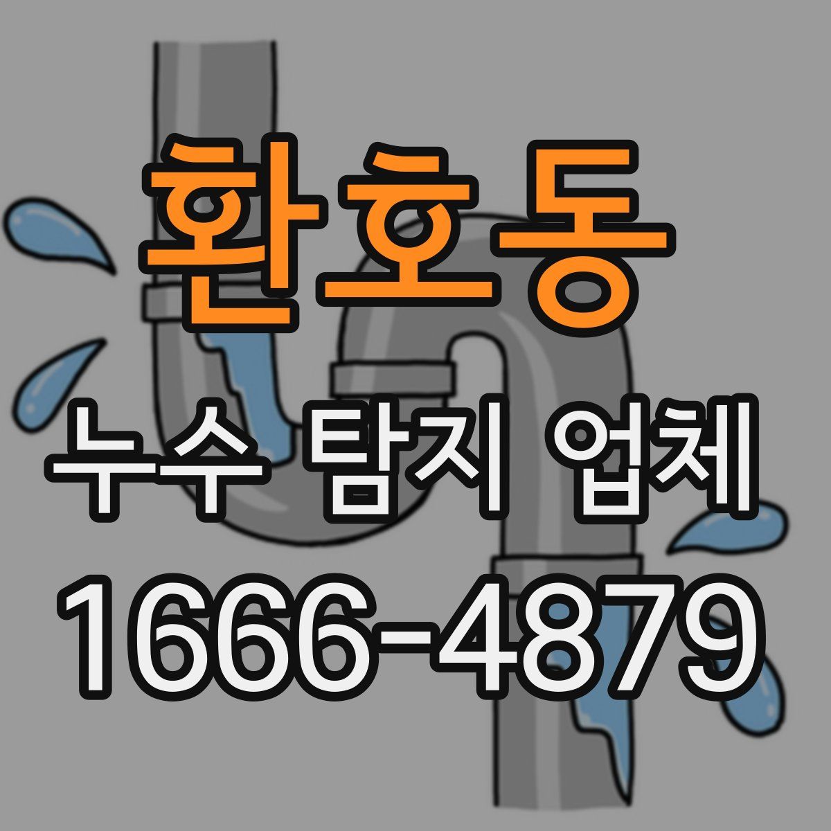 환호동 누수 탐지 업체