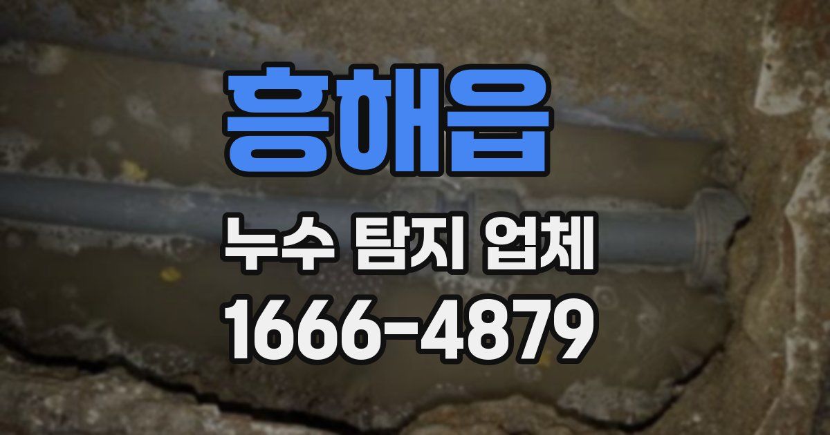 흥해읍 누수 탐지 업체