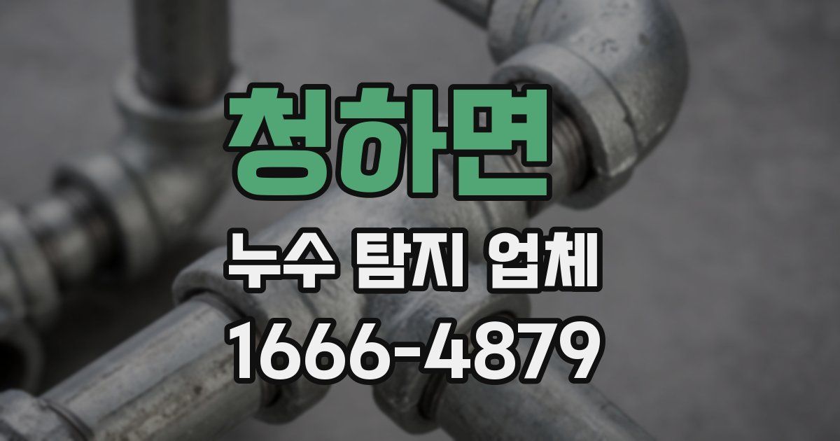 청하면 누수 탐지 업체