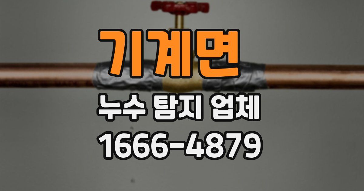 기계면 누수 탐지 업체