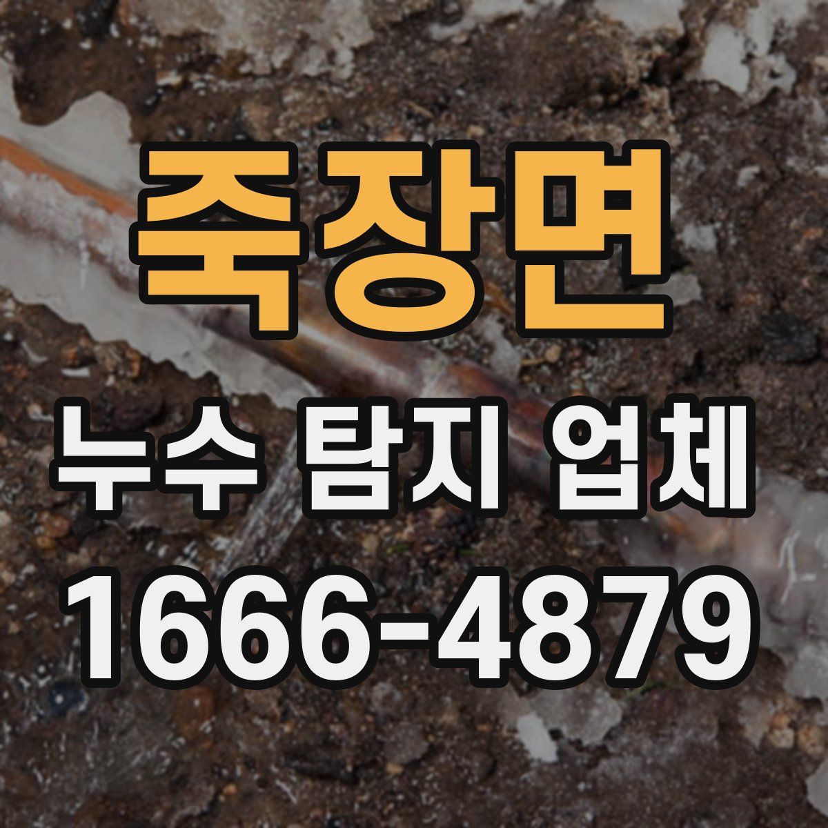 죽장면 누수 탐지 업체