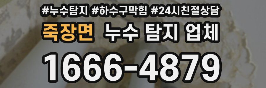 죽장면 누수 탐지 업체