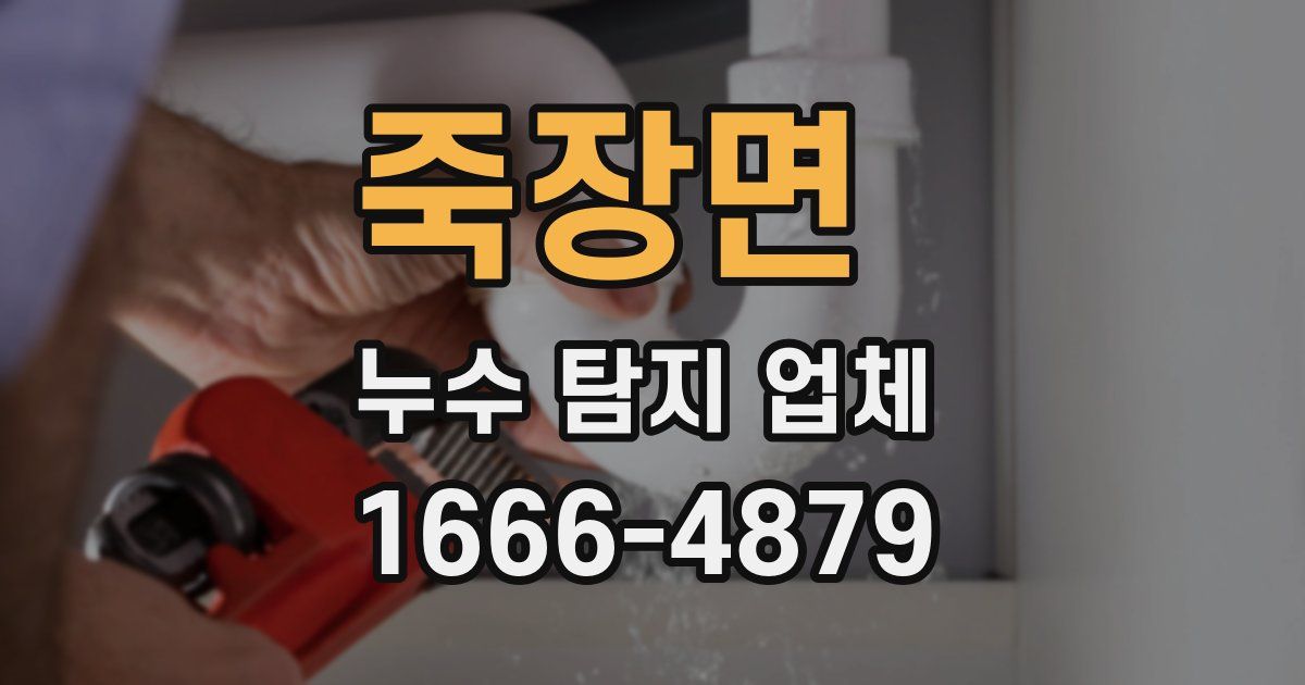 죽장면 누수 탐지 업체