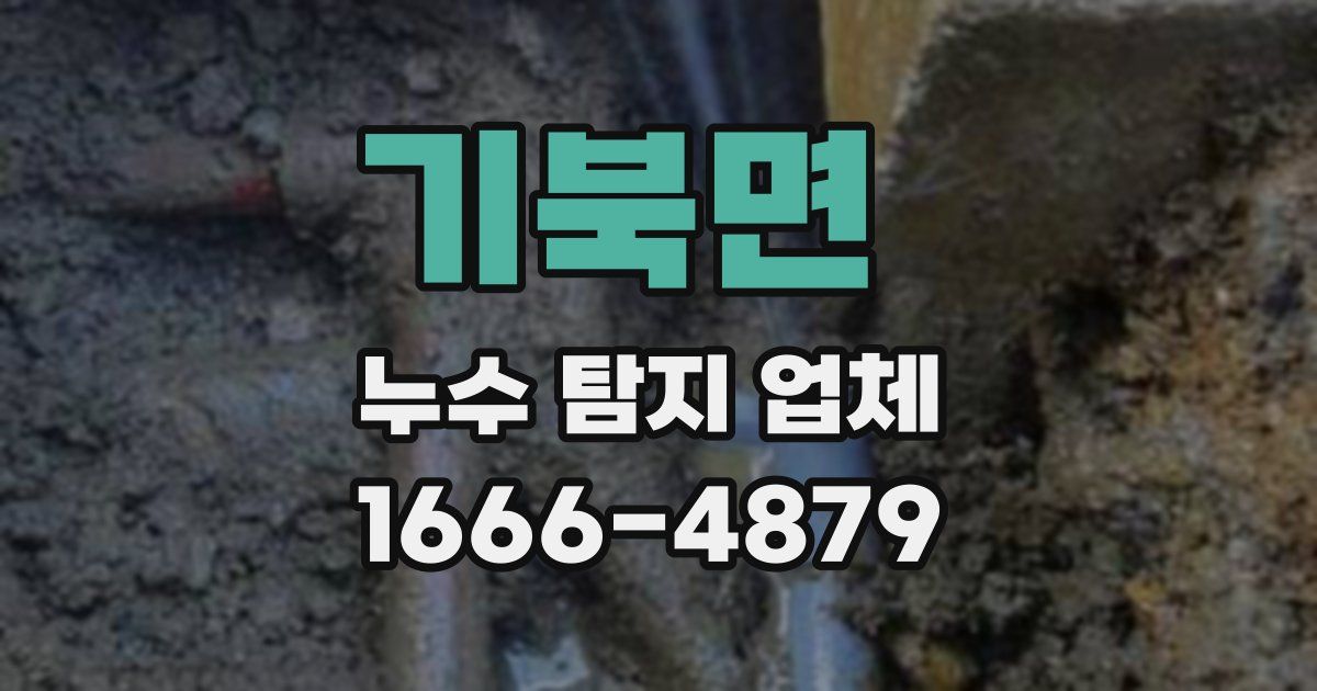 기북면 누수 탐지 업체