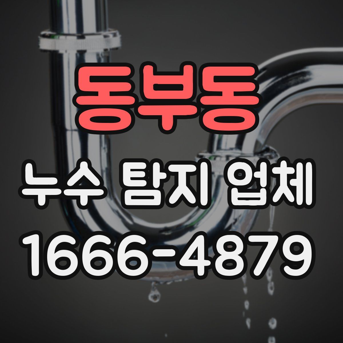 동부동 누수 탐지 업체