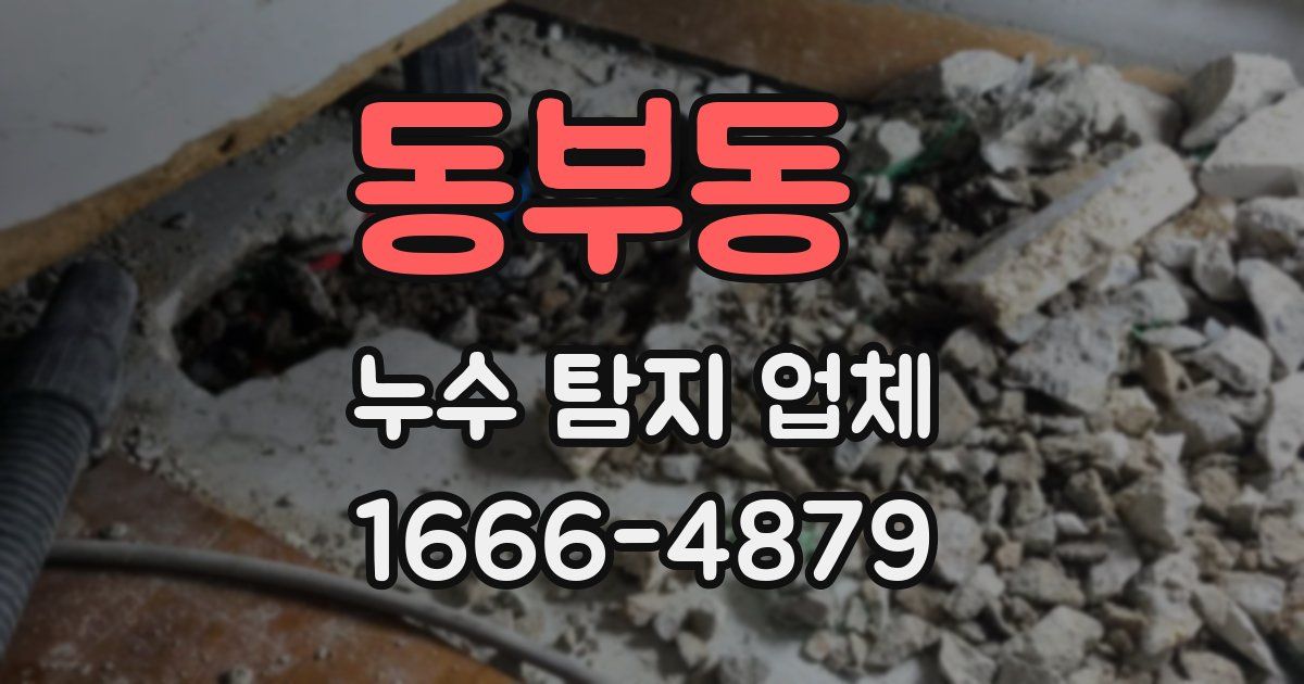 동부동 누수 탐지 업체
