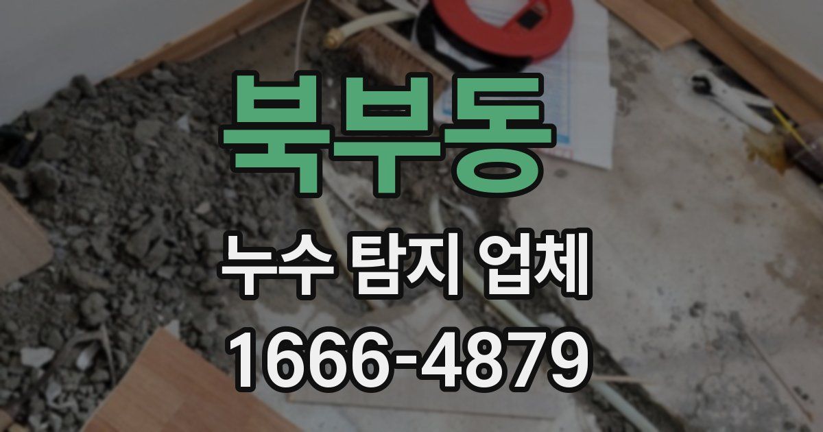 북부동 누수 탐지 업체