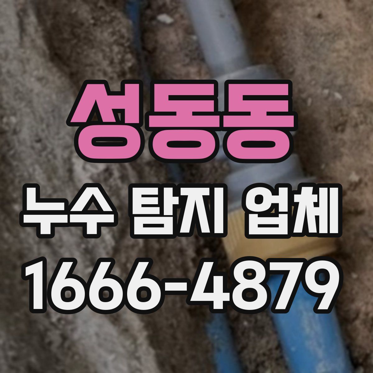 성동동 누수 탐지 업체