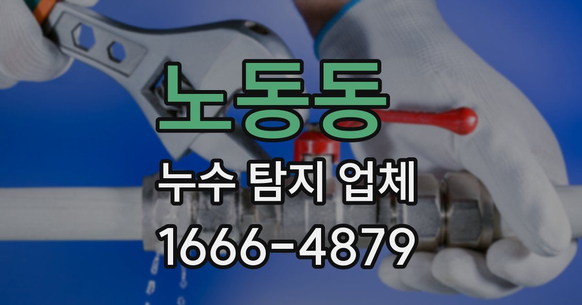 노동동 누수 탐지 업체
