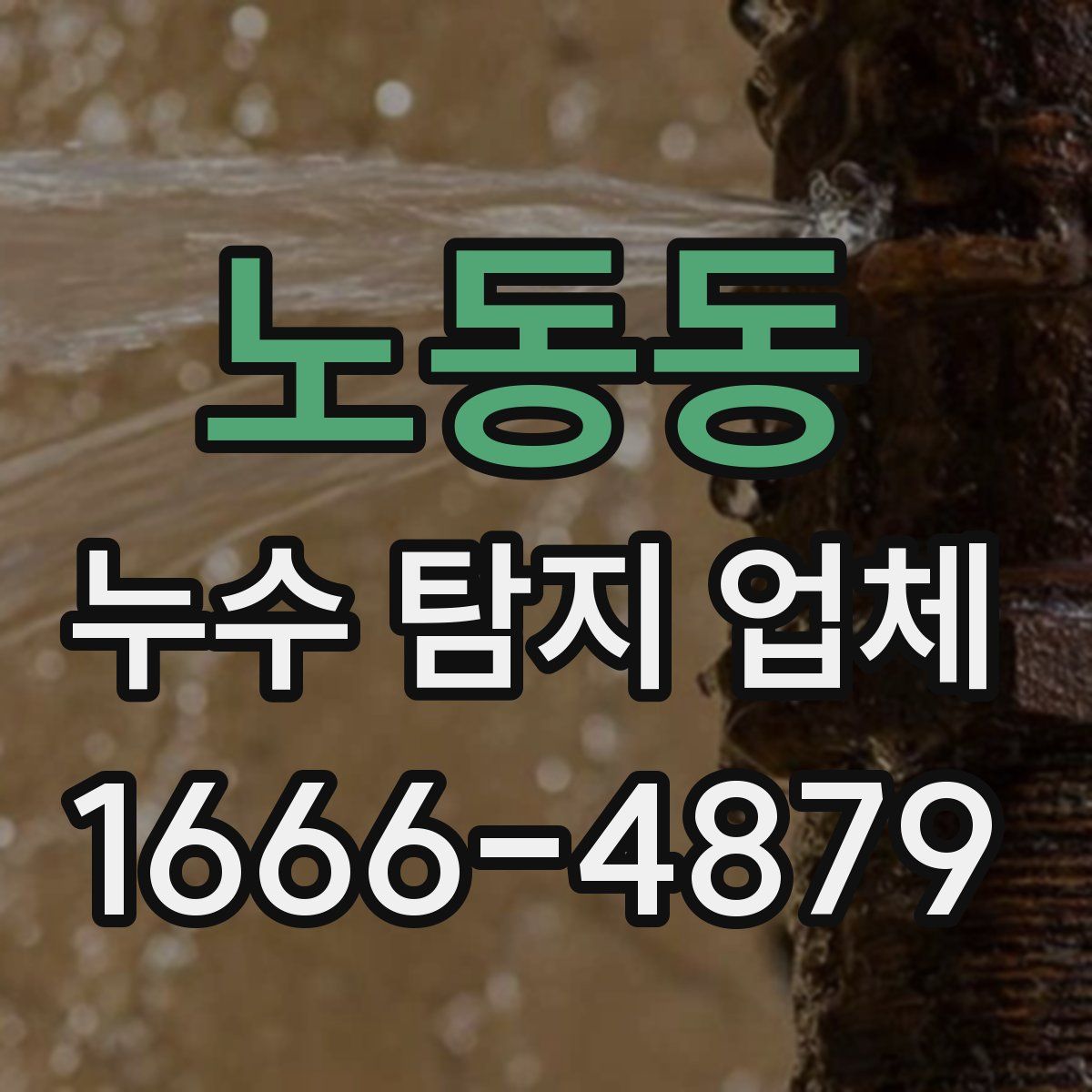 노동동 누수 탐지 업체