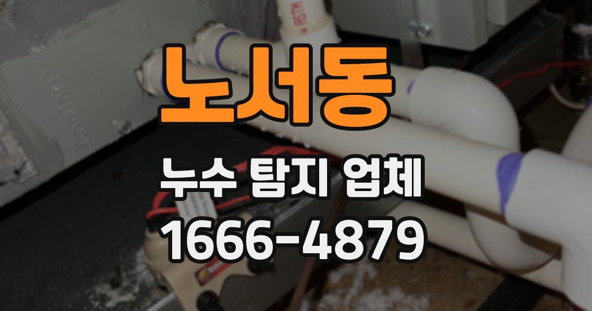 노서동 누수 탐지 업체
