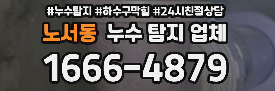 노서동 누수 탐지 업체