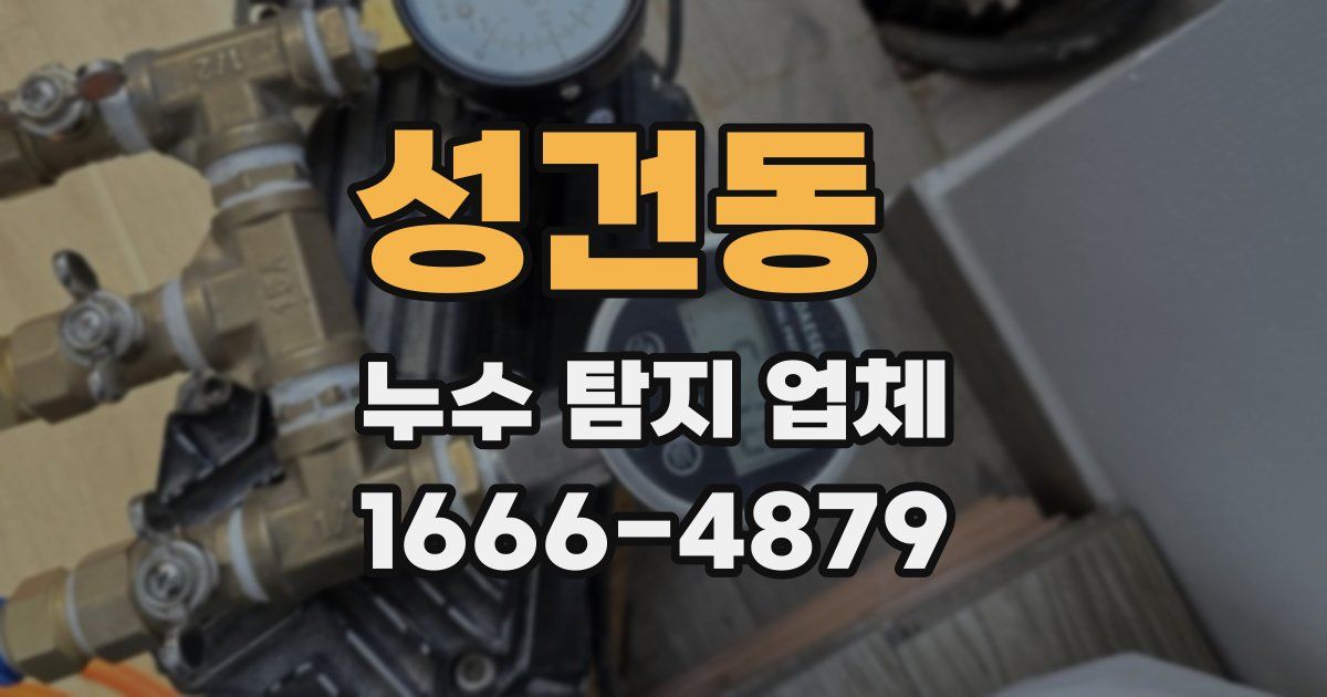 성건동 누수 탐지 업체