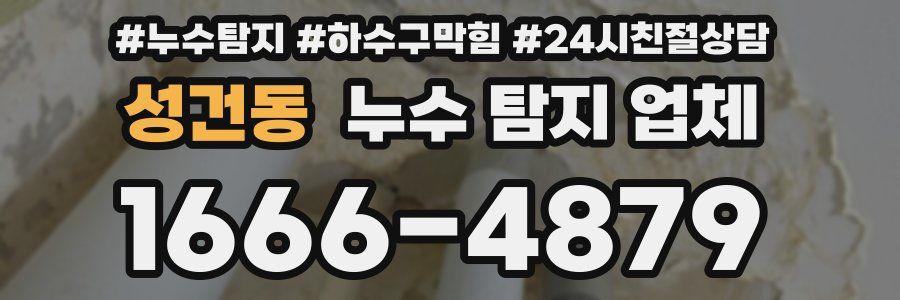성건동 누수 탐지 업체