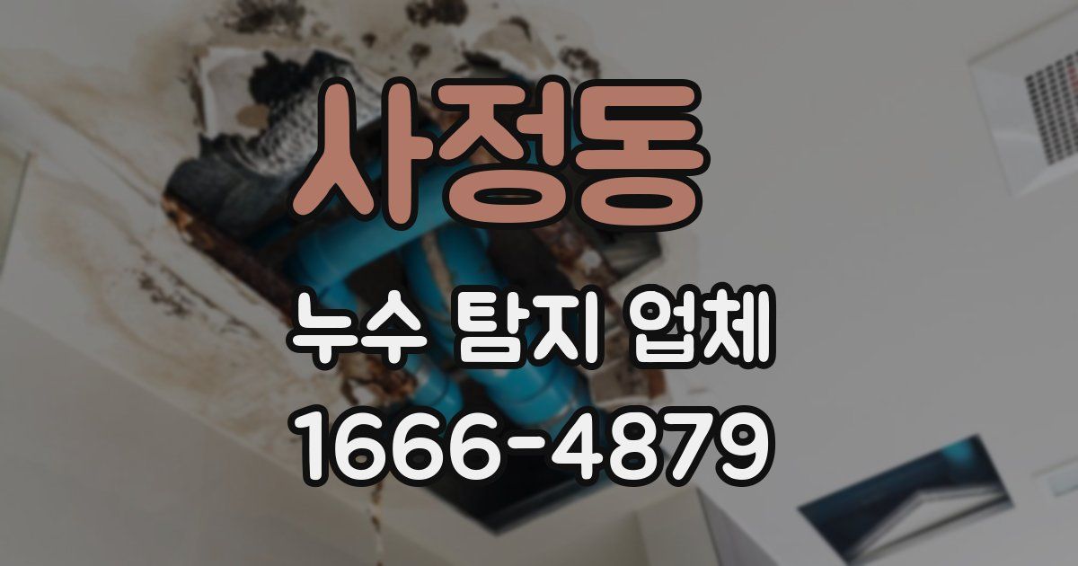 사정동 누수 탐지 업체