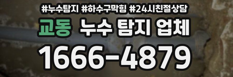 교동 누수 탐지 업체