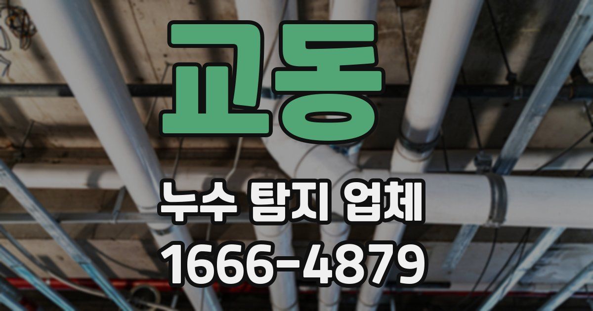 교동 누수 탐지 업체