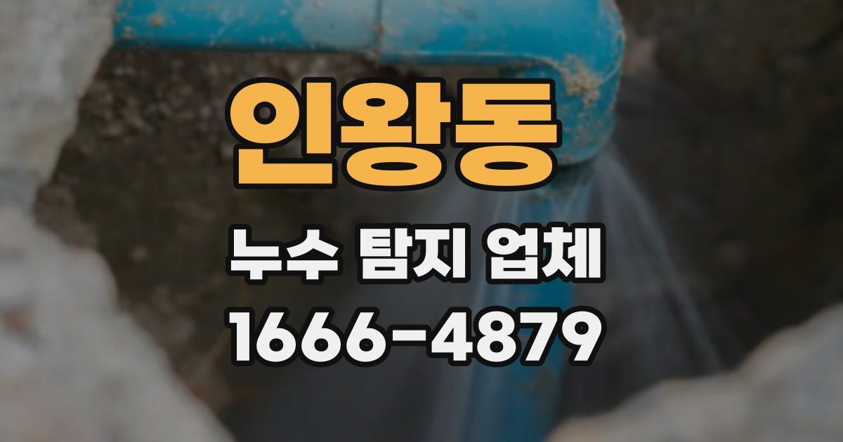 인왕동 누수 탐지 업체