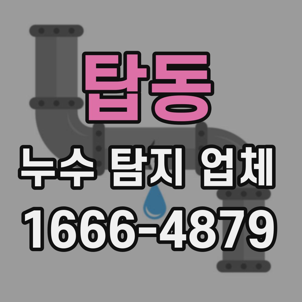 탑동 누수 탐지 업체