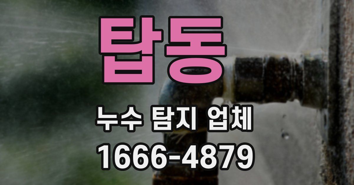 탑동 누수 탐지 업체