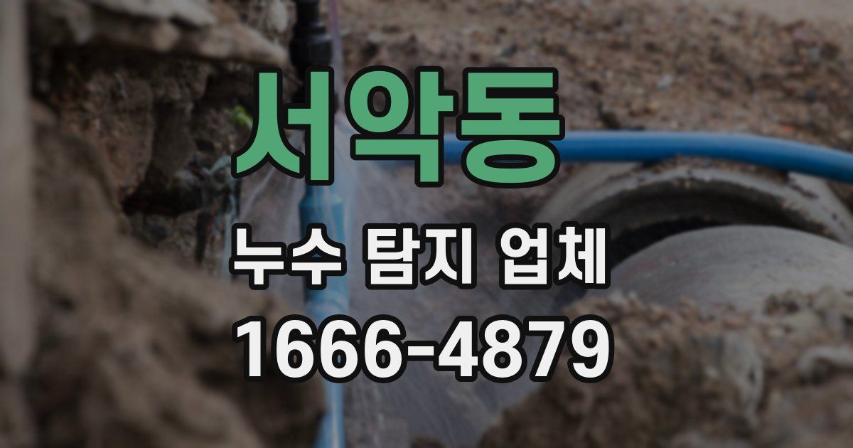 서악동 누수 탐지 업체