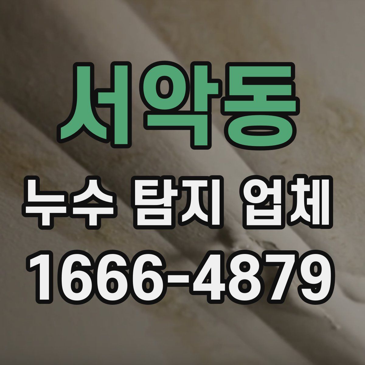서악동 누수 탐지 업체