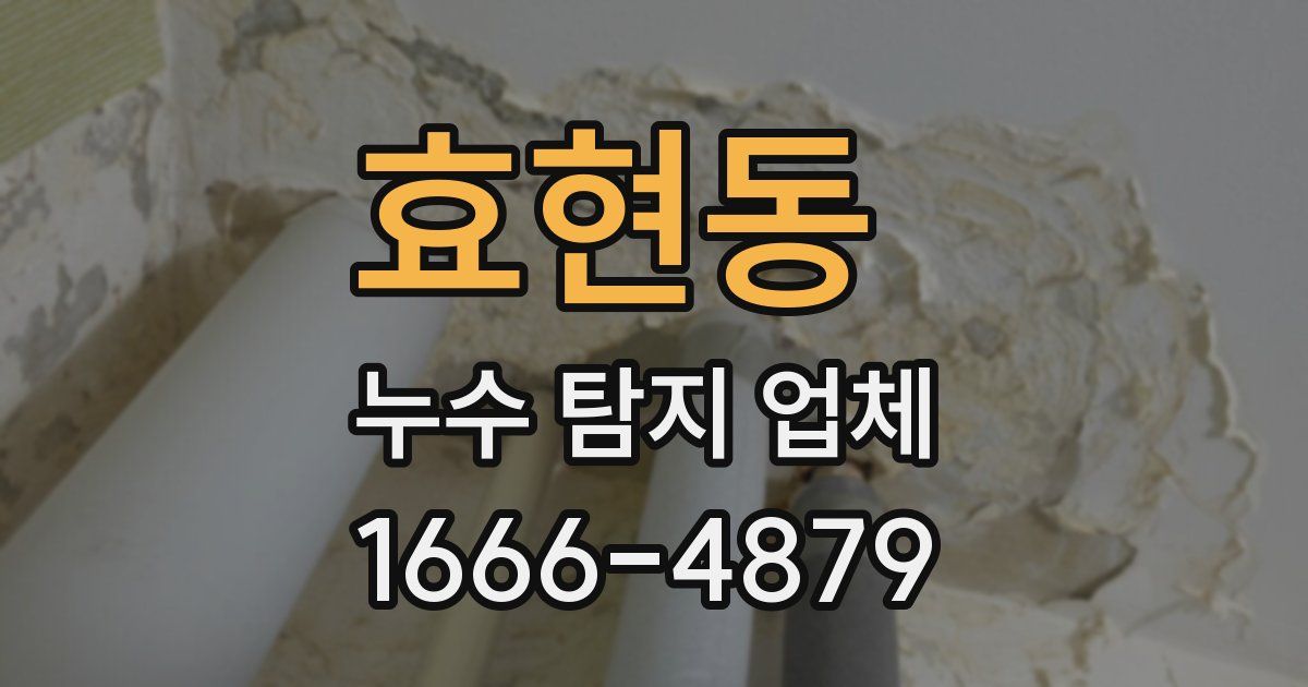 효현동 누수 탐지 업체