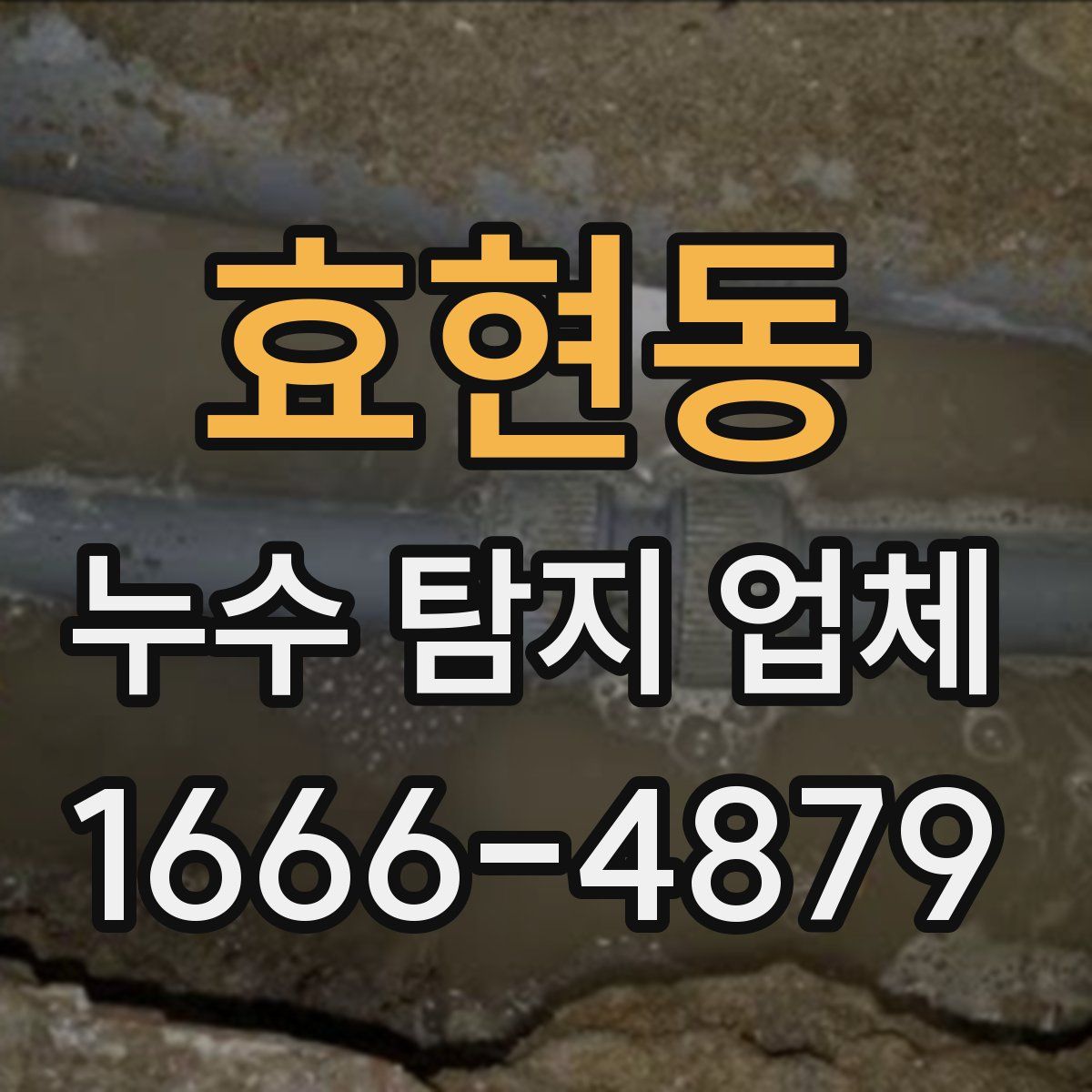 효현동 누수 탐지 업체