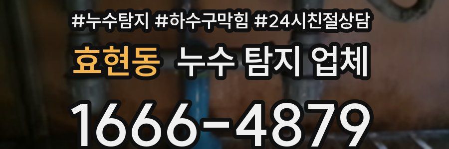 효현동 누수 탐지 업체