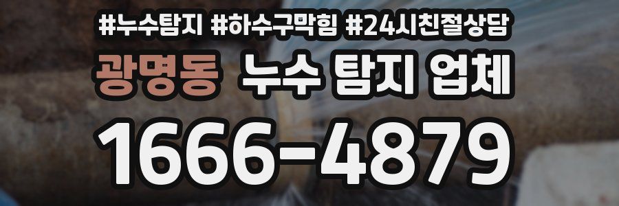 광명동 누수 탐지 업체