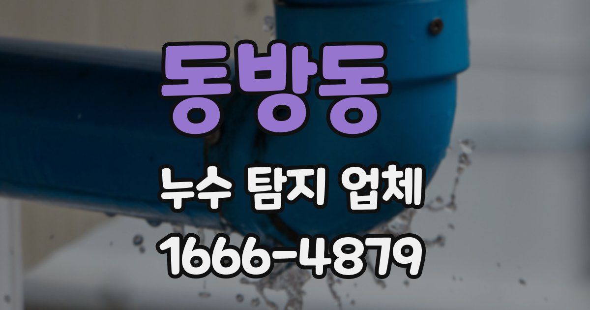 동방동 누수 탐지 업체