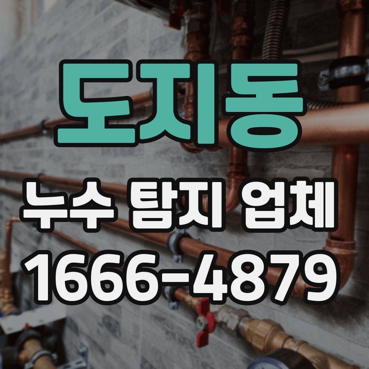 도지동 누수 탐지 업체