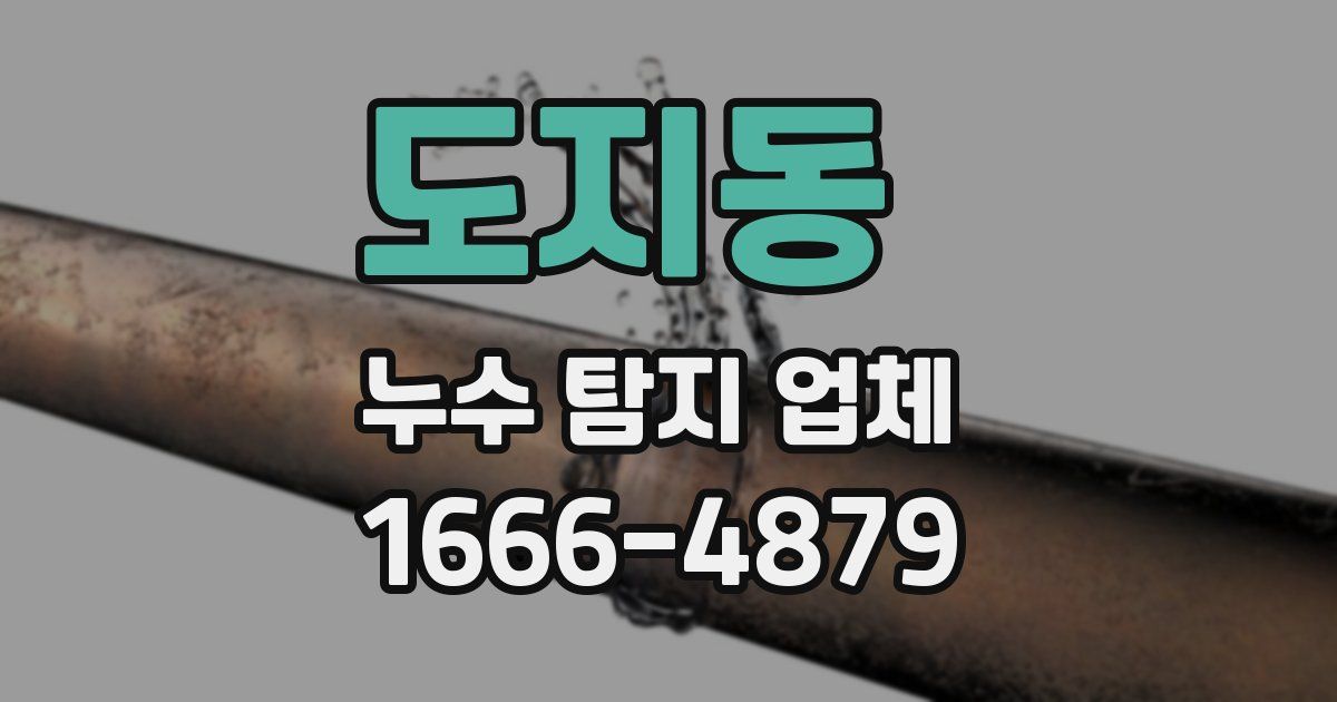 도지동 누수 탐지 업체