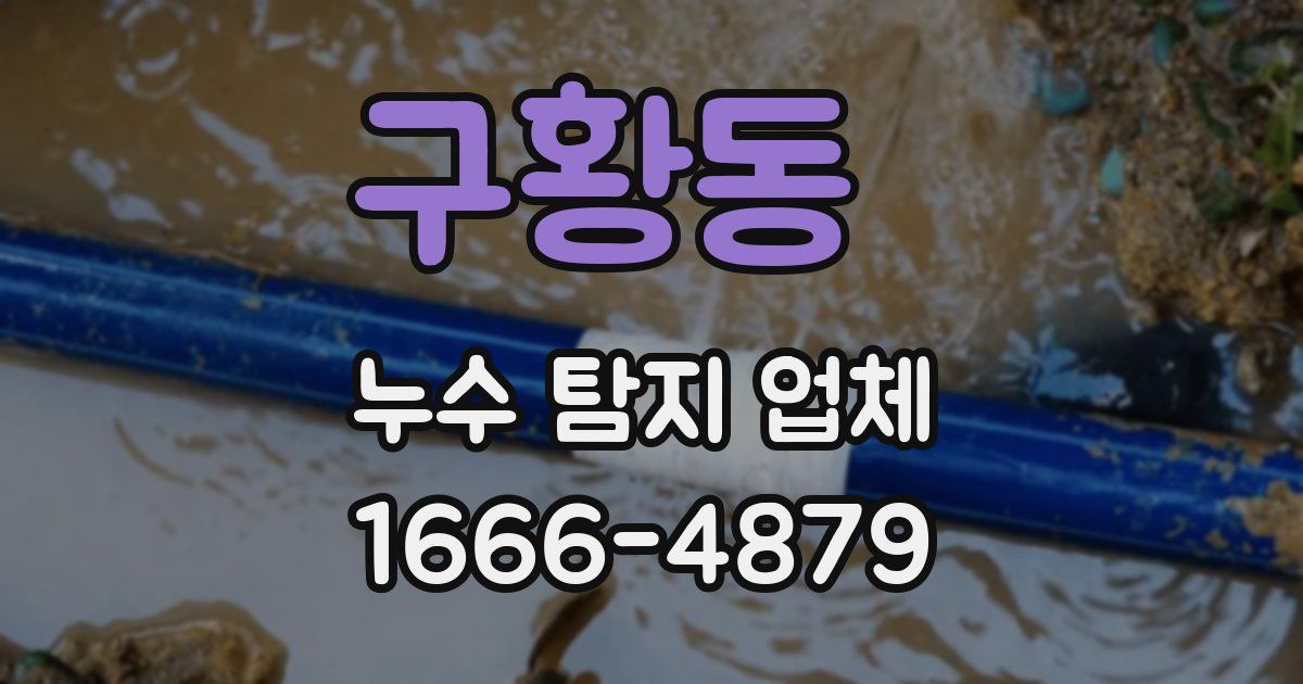 구황동 누수 탐지 업체