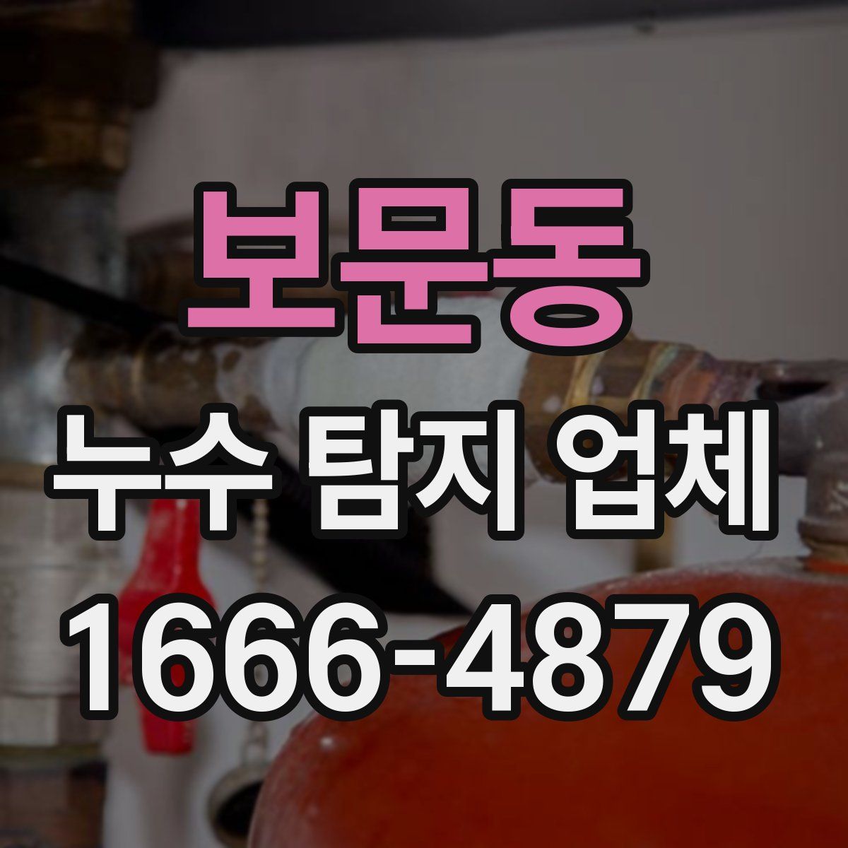 보문동 누수 탐지 업체