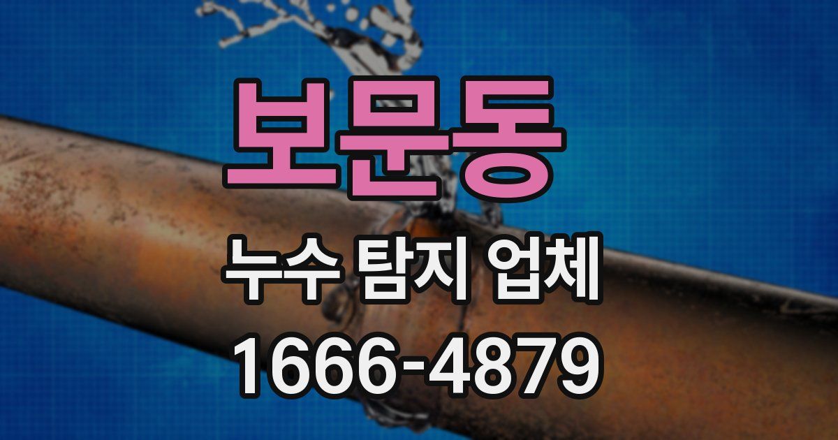 보문동 누수 탐지 업체