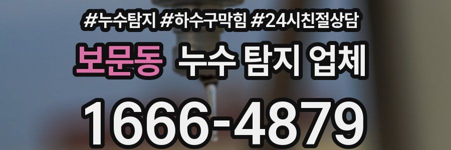 보문동 누수 탐지 업체