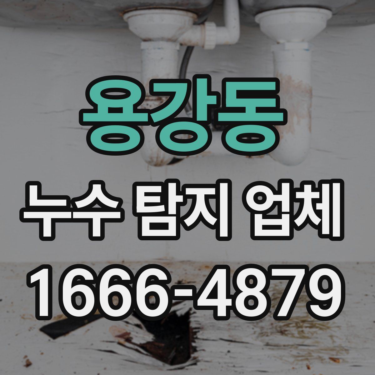 용강동 누수 탐지 업체