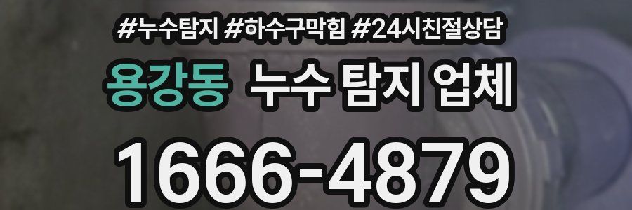 용강동 누수 탐지 업체