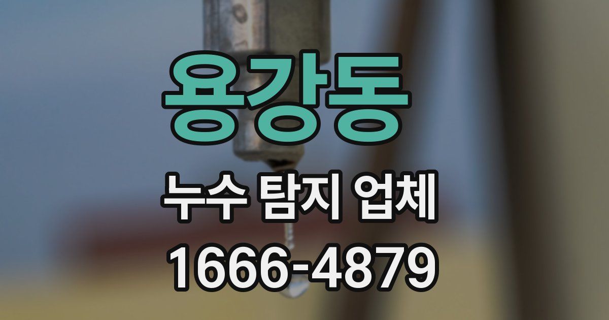 용강동 누수 탐지 업체