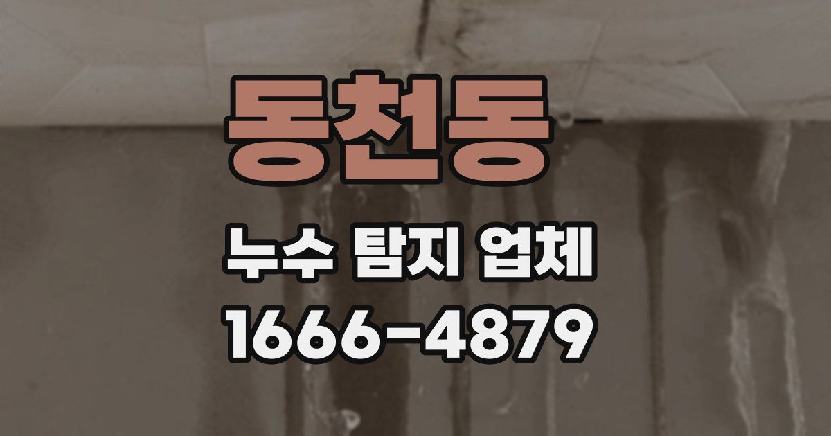 동천동 누수 탐지 업체