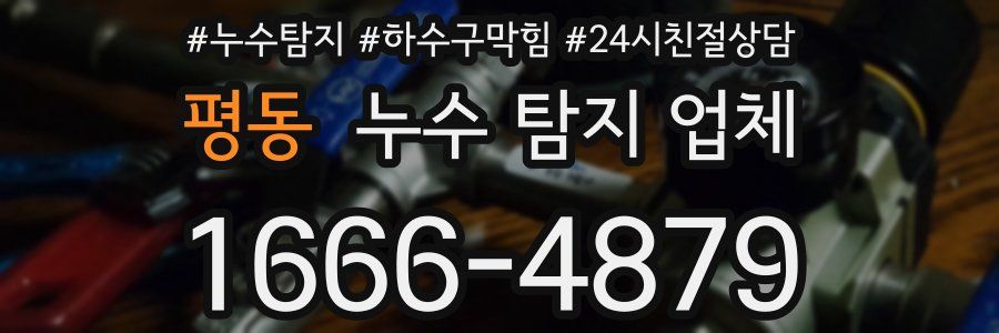 평동 누수 탐지 업체